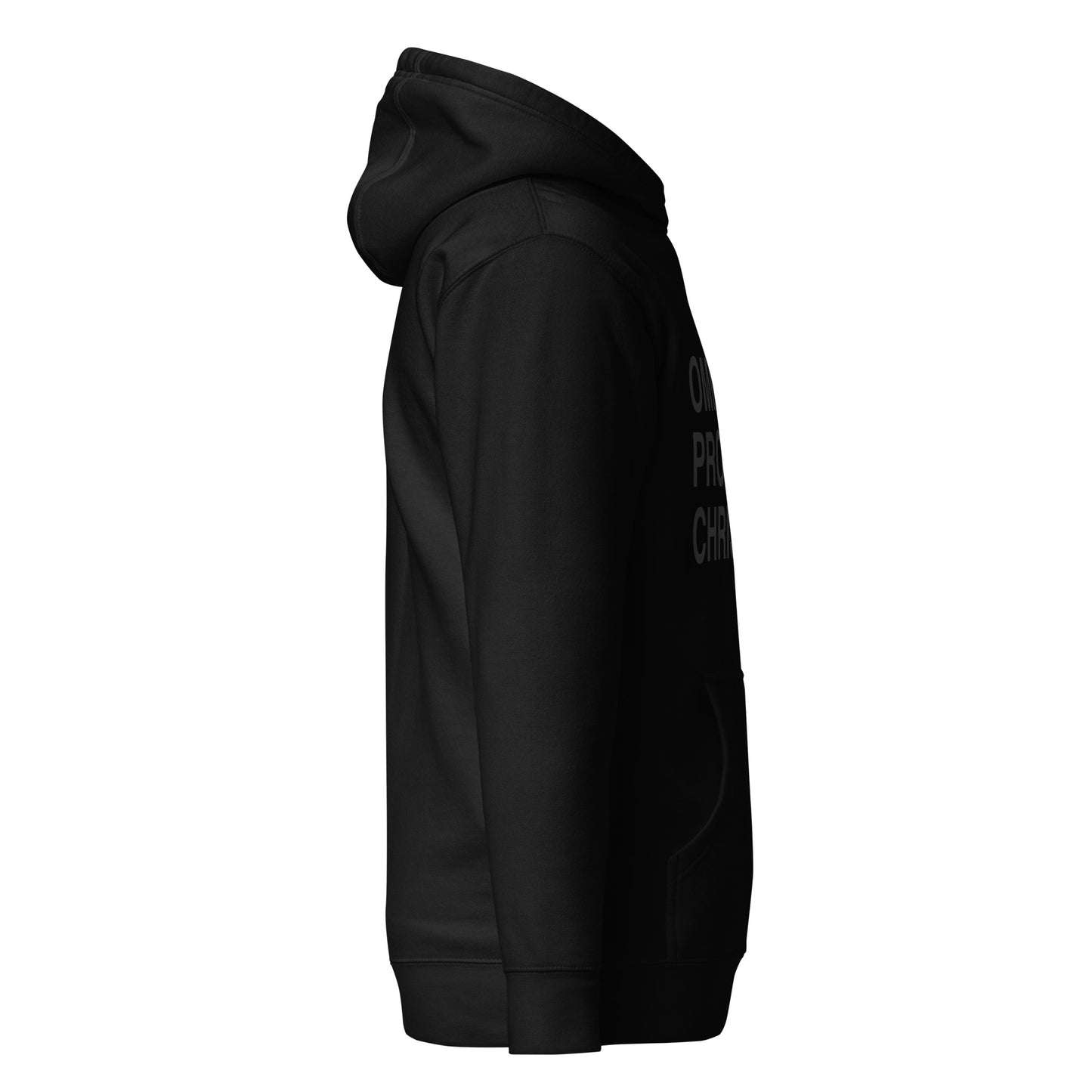 Omnia Pro Christo Hoodie